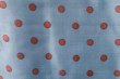 画像7: Khadi Silk Polka dots Print Tuck Pants (DBL) (7)