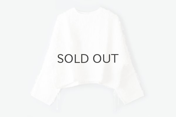 画像1: Khadi Silk Organdy & Embroidery Blouse (OWH) (1)