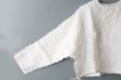 画像3: Khadi Silk Organdy & Embroidery Blouse (OWH) (3)