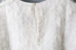 画像7: Khadi Silk Organdy & Embroidery Blouse (OWH) (7)