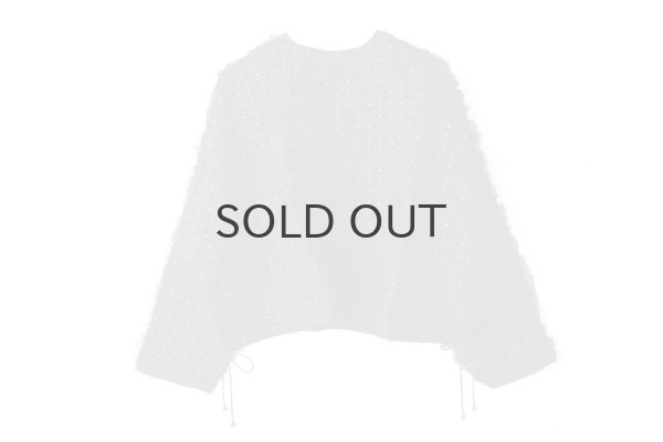 画像1: Khadi Silk Organdy & Embroidery Blouse (BK) (1)