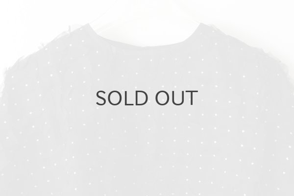 画像4: Khadi Silk Organdy & Embroidery Blouse (BK) (4)