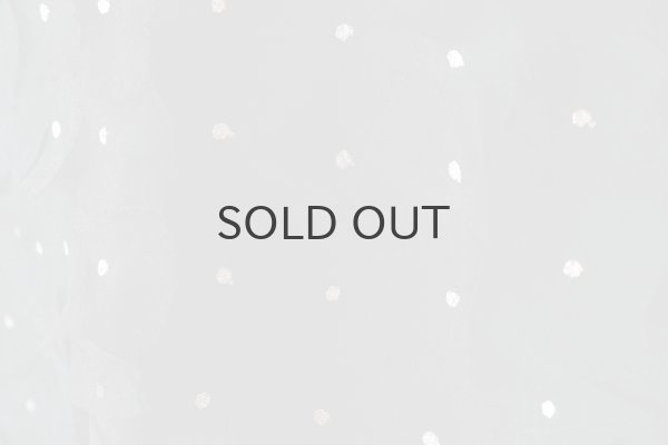 画像6: Khadi Silk Organdy & Embroidery Blouse (BK) (6)