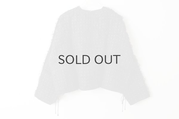 画像2: Khadi Silk Organdy & Embroidery Blouse (BK) (2)