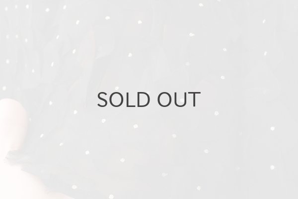 画像7: Khadi Silk Organdy & Embroidery Flap Pants (BK) (7)