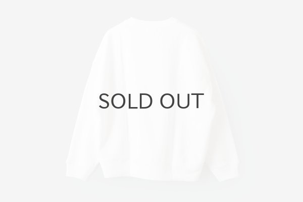 画像2: GOOD ROCK SPEED | Twins wearing plaid skirts SWEAT (WH)  (2)