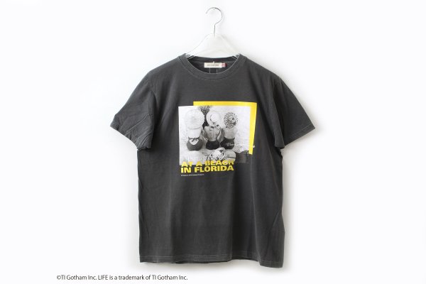 画像1: LIFE PICTURE COLLECTION | Beach Photo Graphic T-Shirt (CH) (1)