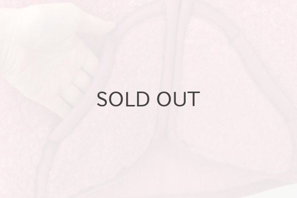 画像5: 別注カラー!! ROBBY ボアベスト (PK) (5)