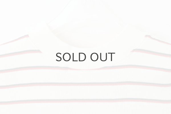 画像3: Panel-rib M/N Tee 829C (WHT-NR) (3)