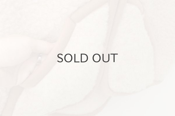 画像6: ROBBY ボアベスト (BG) (6)