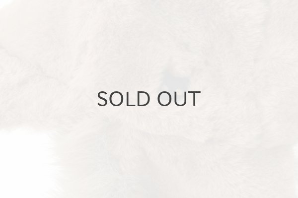 画像12: KAP Ear Flap Cap (12)