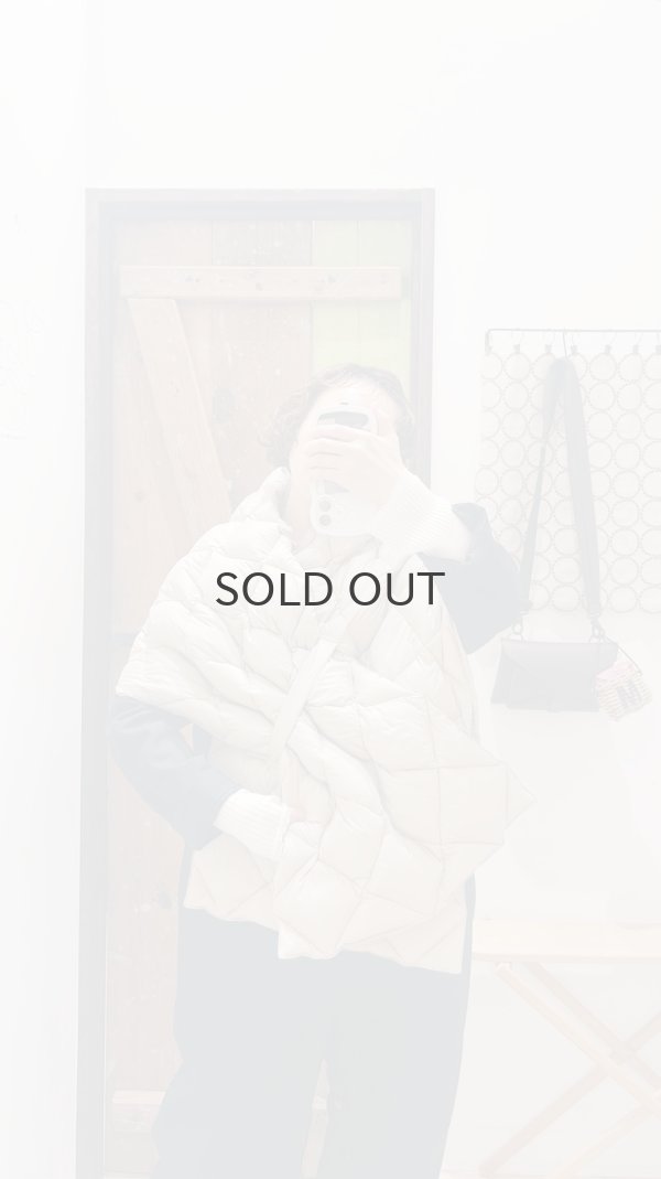 画像8: シティ リバーシブル ダウンストール (TAION-R201CI2-STL:D.CH) (8)