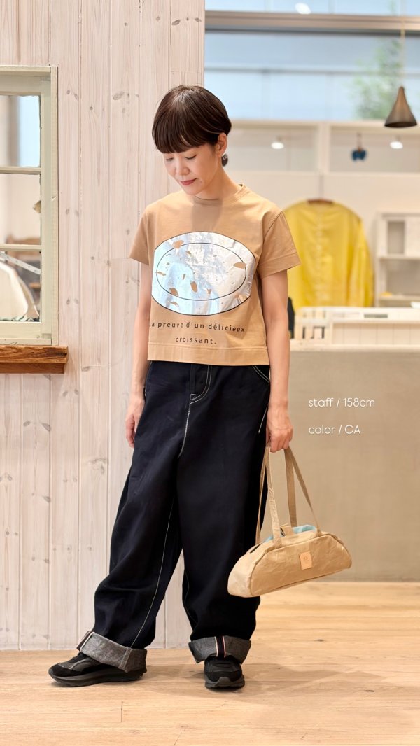 画像14: ミニT・クロワッサンのかけら (56503:WHS) (14)