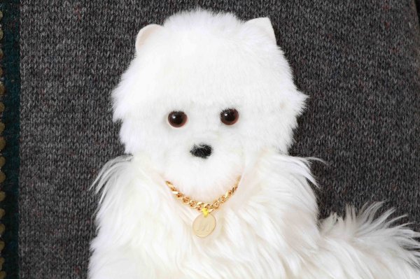 画像15: SALE30%OFF!! イヌジャガードジップカーディガン (GY) (15)