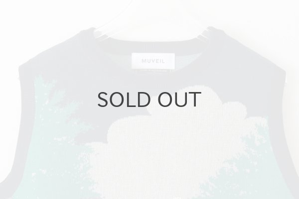 画像3: スワンプルオーバー (NV) (3)