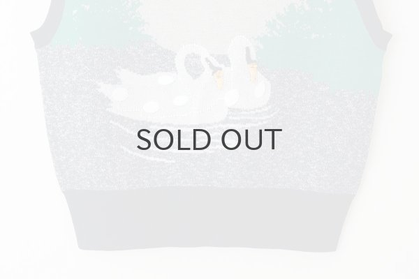 画像5: スワンプルオーバー (NV) (5)