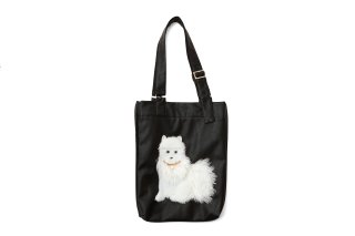 ebagos エバゴス 封筒型 3way bag・シャイニー