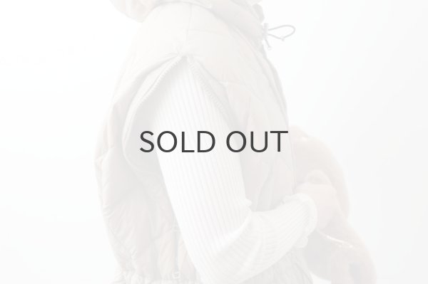 画像25: シティ ダウンケープ (TAION-CPCI:BK) (25)