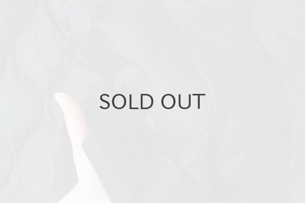 画像9: ミリタリー ダウンスカート-ソフトシェル (TAION-W150LSSKML-1:DNV) (9)