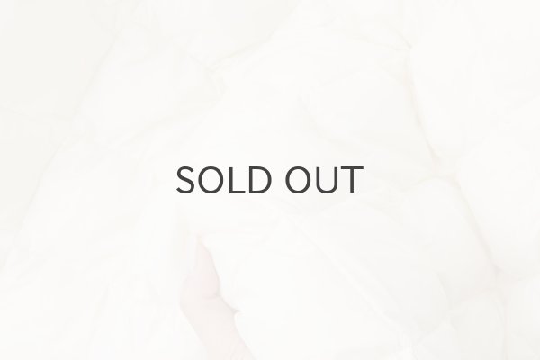 画像9: シティ ダウンスカート (TAION-W151SKCI:OF) (9)