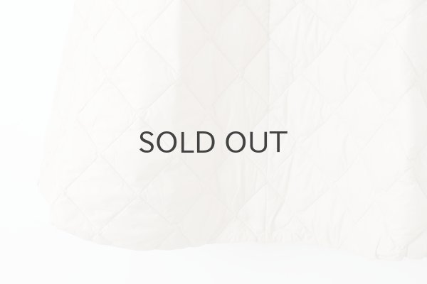 画像7: シティ ダウンスカート (TAION-W151SKCI:GBG) (7)