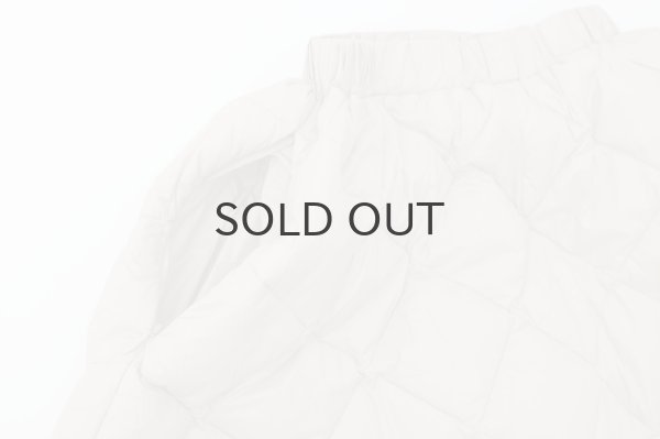 画像5: シティ ダウンスカート (TAION-W151SKCI:GBG) (5)