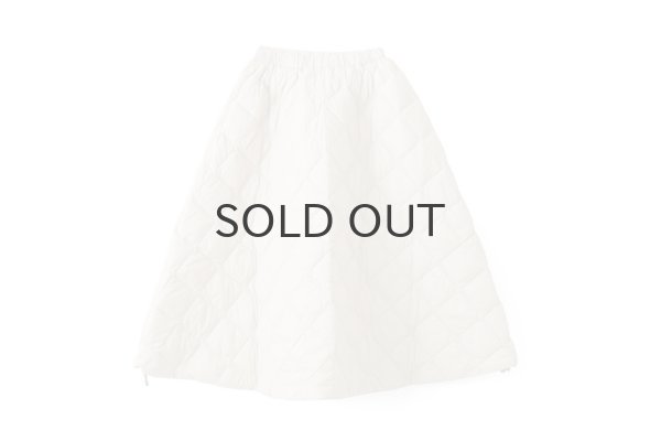 画像1: シティ ダウンスカート (TAION-W151SKCI:GBG) (1)