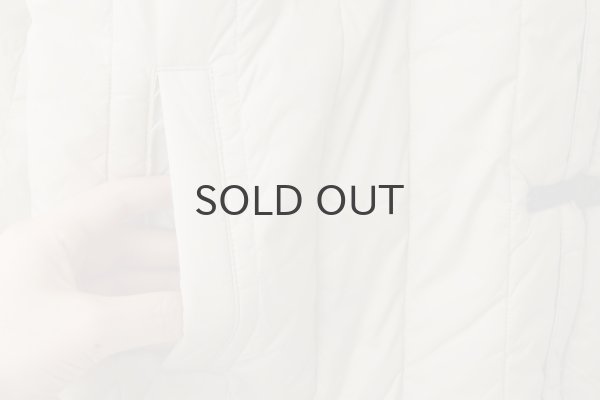 画像9: JPSP チャイナボタン ダウンジャケット (TAION-JK01JS:BG×BK) (9)