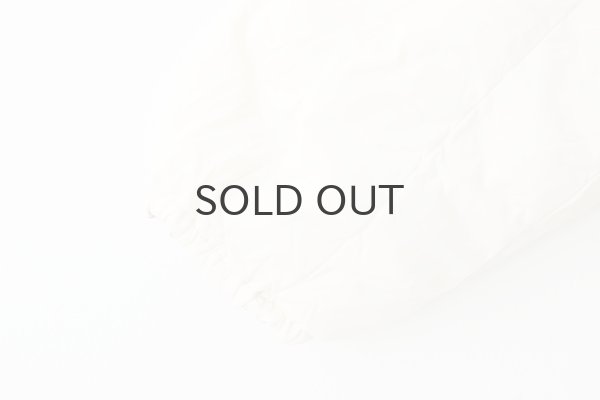 画像9: JPSP チャイナボタン ダウンジャケット (TAION-JK01JS:OF×SG) (9)