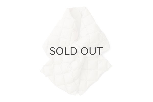 画像1: シティ リバーシブル ダウンストール (TAION-R201CI2-STL:GBG) (1)