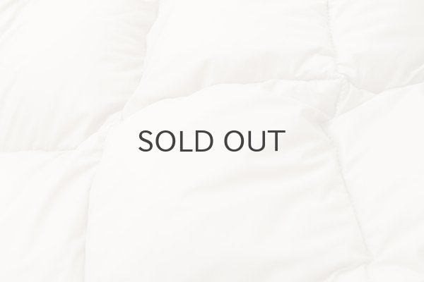 画像4: シティ リバーシブル ダウンストール (TAION-R201CI2-STL:GBG) (4)