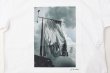 画像4: フォトプリントTシャツ (flag) (4)