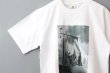 画像6: フォトプリントTシャツ (flag) (6)
