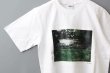 画像4: フォトプリントTシャツ (garden) (4)