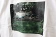 画像7: フォトプリントTシャツ (garden) (7)