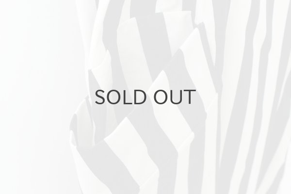 画像5: 別注!! POTTERS APRON (NV×IDST) (5)