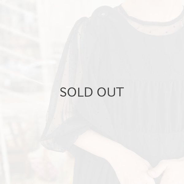 画像18: DOT tulle blouse (IV) (18)