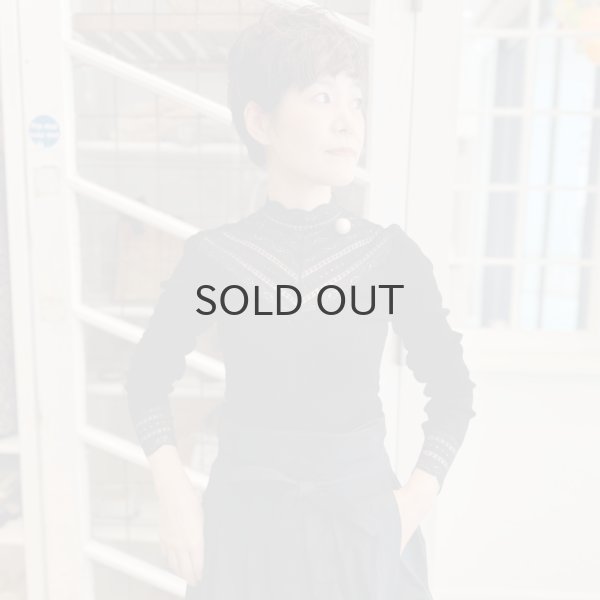 画像36: Silk t-shirt 5023 (NWH) (36)