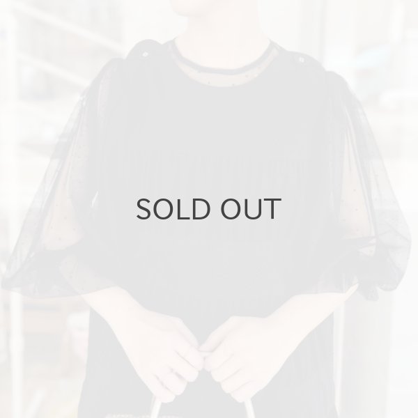 画像17: DOT tulle blouse (IV) (17)