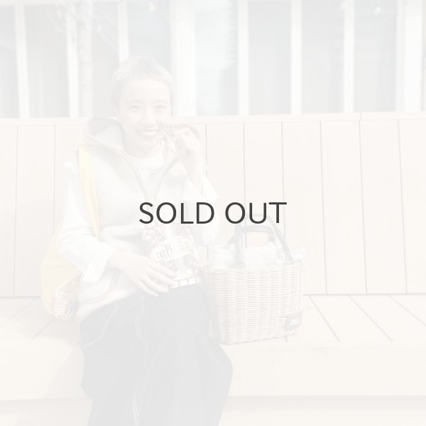 画像17: サブバッグ・カゴケースM (45612:YW) (17)