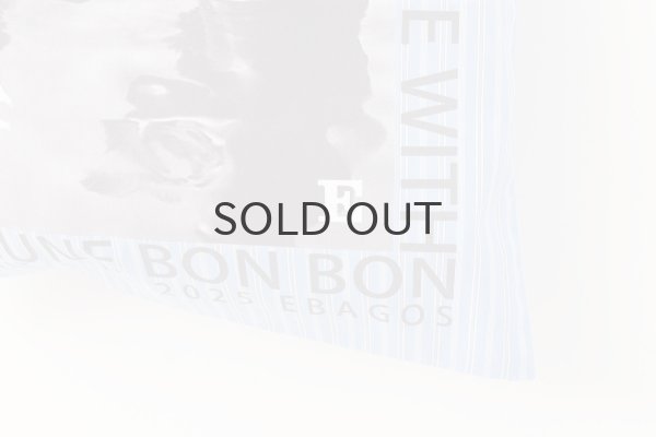 画像6: ボーダーレース・テーマトート (45514:BL) (6)