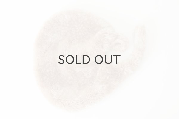 画像14: バンビ・ベレーバケツラフ (15659:BAMB) (14)