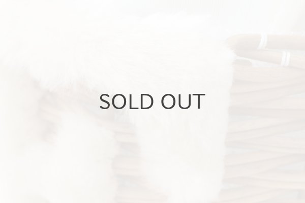 画像5: E from the basket (15578:IV) (5)