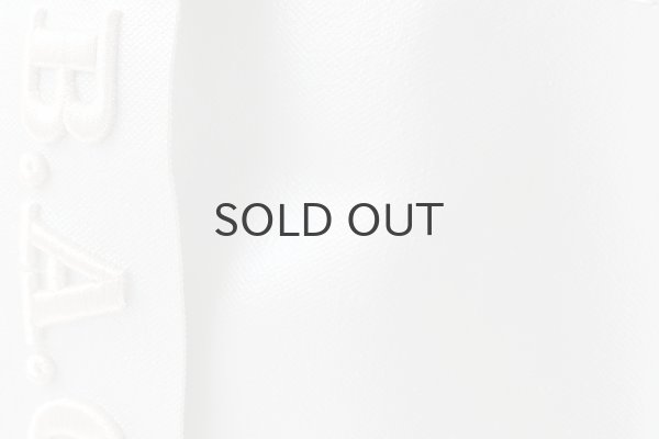 画像12: プロテクトキャンバス Y字トート (15628:SV) (12)