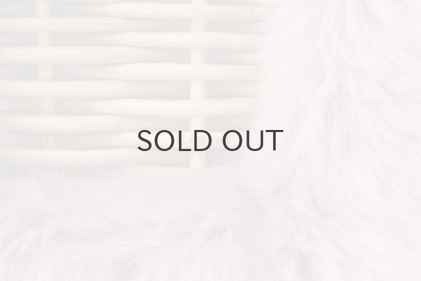 画像12: エコファー・レッキス (16650:GYPK) (12)