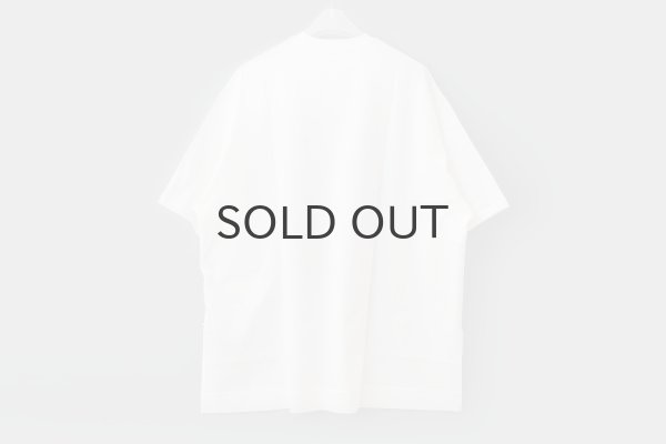 画像2: オーガニック・コットン・プリント Big T-shirt  (55508:WHGY) (2)