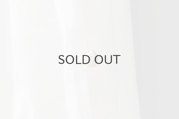 画像5: オーガニック・コットン・プリント Big T-shirt  (55508:WHGY) (5)