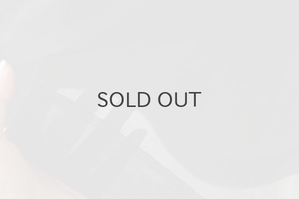 画像9: Wラッセル Big T-shirt  (55511:BK) (9)