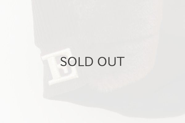 画像7: ベスト・エコファー (55605:CHO) (7)