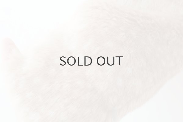 画像8: ジャンパー・ナイロン×バンビ (55630:BAMB) (8)